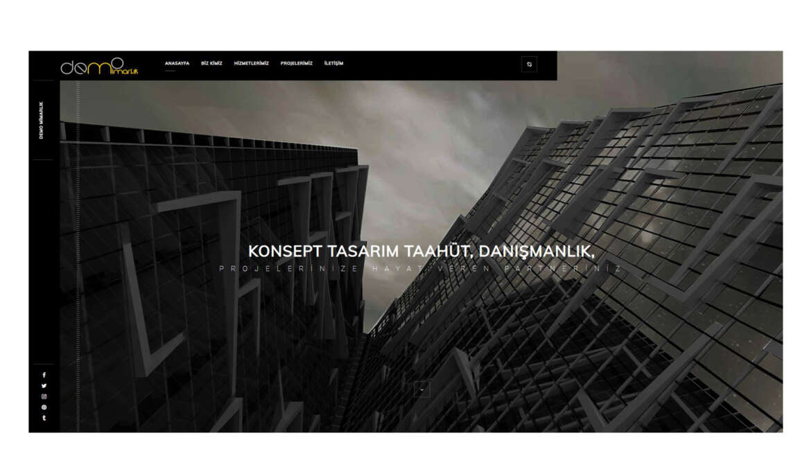 Demo Mimarlık Web Sitesi